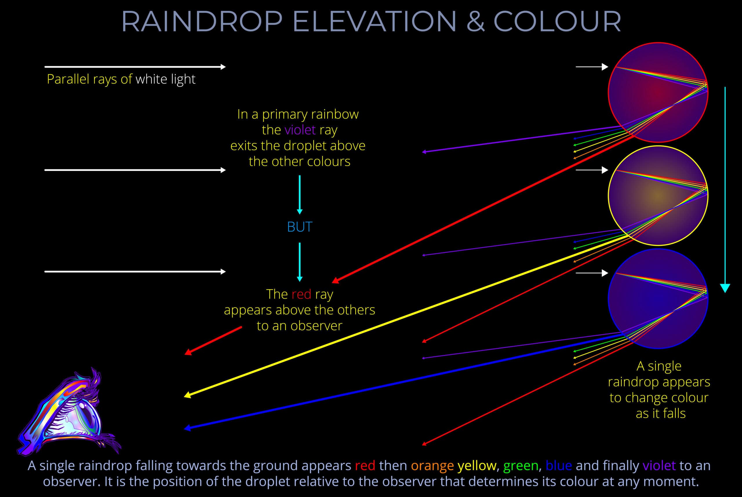 Lightcolourvision Org Lightcolourvision Org